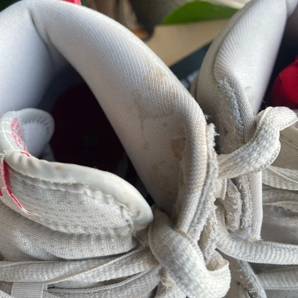 Nike Dunk High Pro SB Birch Hyper Red Mens